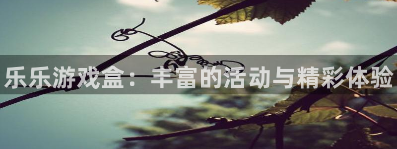 手机高德娱乐下载安装：乐乐游戏盒：丰富的活动与精彩体验