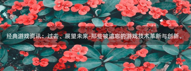 高德娱乐注册测速：经典游戏资讯：过去、展望未来-那些被遗忘的
