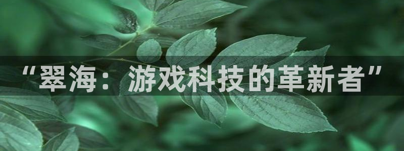 高德娱乐网页版地址：“翠海：游戏科技的革新者”