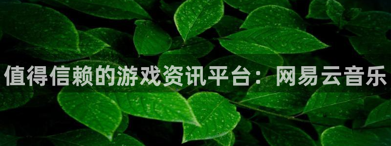 高德娱乐测速：值得信赖的游戏资讯平台：网易云音乐