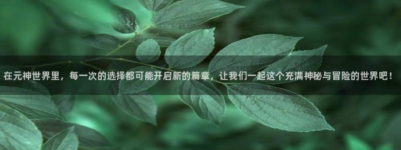 高德娱乐开户测速：在元神世界里，每一次的选择都可能开启新的篇