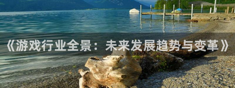 高德娱乐平台登录线路：《游戏行业全景：未来发展趋势与变革》