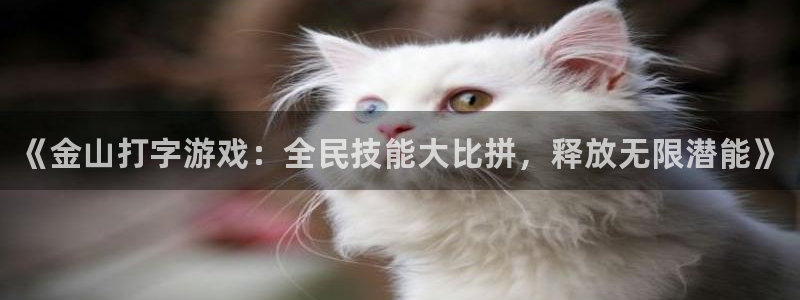 高德娱乐4主管：《金山打字游戏：全民技能大比拼，释放无限潜能