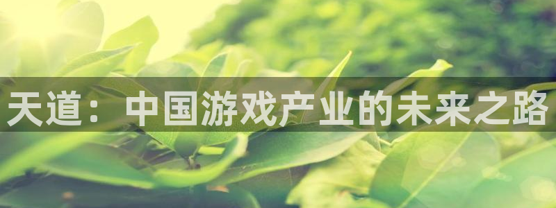 高德娱乐app下载：天道：中国游戏产业的未来之路