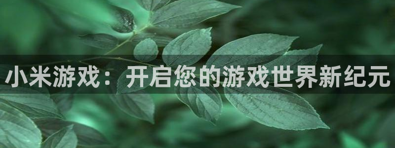 高德娱乐官方登录网址:小米游戏:开启您的游戏世界新纪元