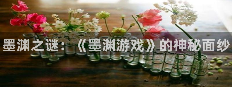 高德娱乐app下载:墨渊之谜:《墨渊游戏》的神秘面纱