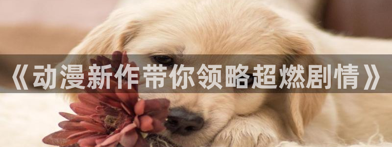 高德娱乐2登录：《动漫新作带你领略超燃剧情》