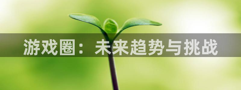 高德娱乐2登录：游戏圈：未来趋势与挑战